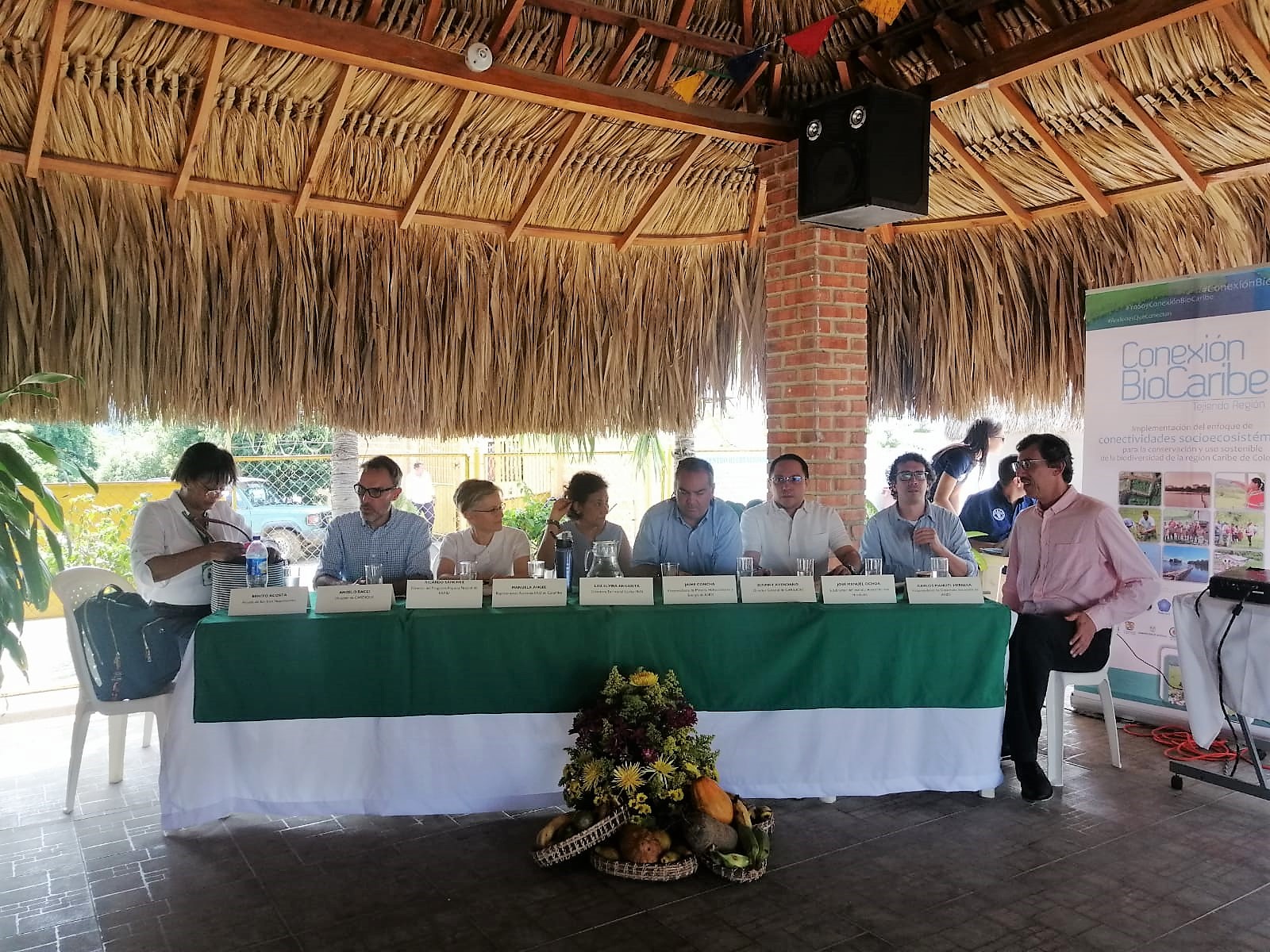 Biodiversidad y Desarrollo Caribe